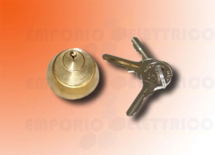 faac internal cylinder with 2 electrolock keys 712651001/36