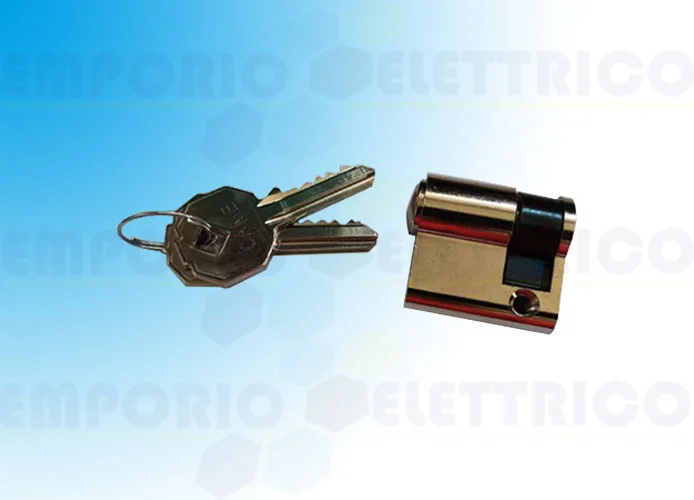 came spare part din lock with key prefer 7001/50 119r36887001/50