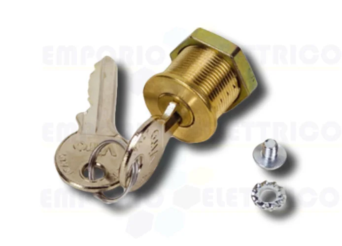 faac release lock with personalized key 712501001/10