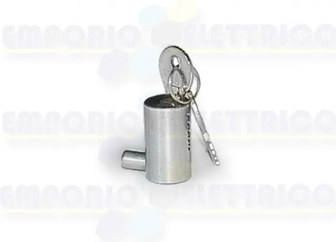 came lock cylinder with din key 001d001 d001